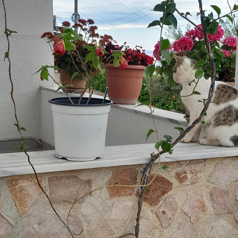 Denni'S Home Саранде Екстериор снимка