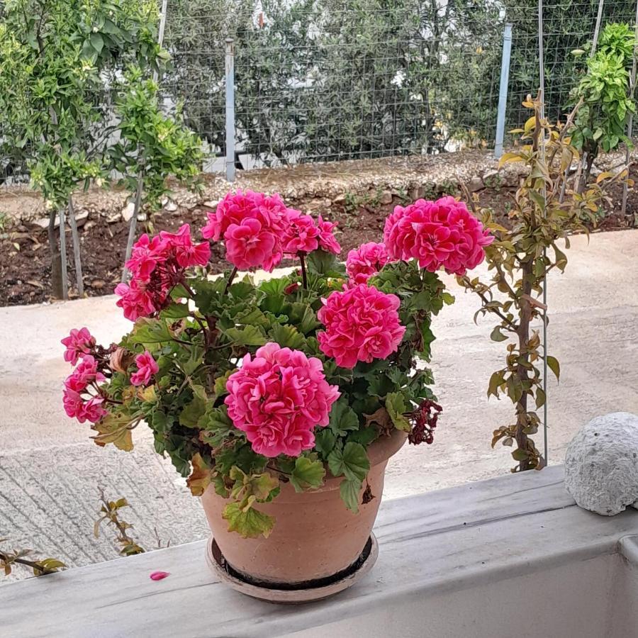 Denni'S Home Саранде Екстериор снимка