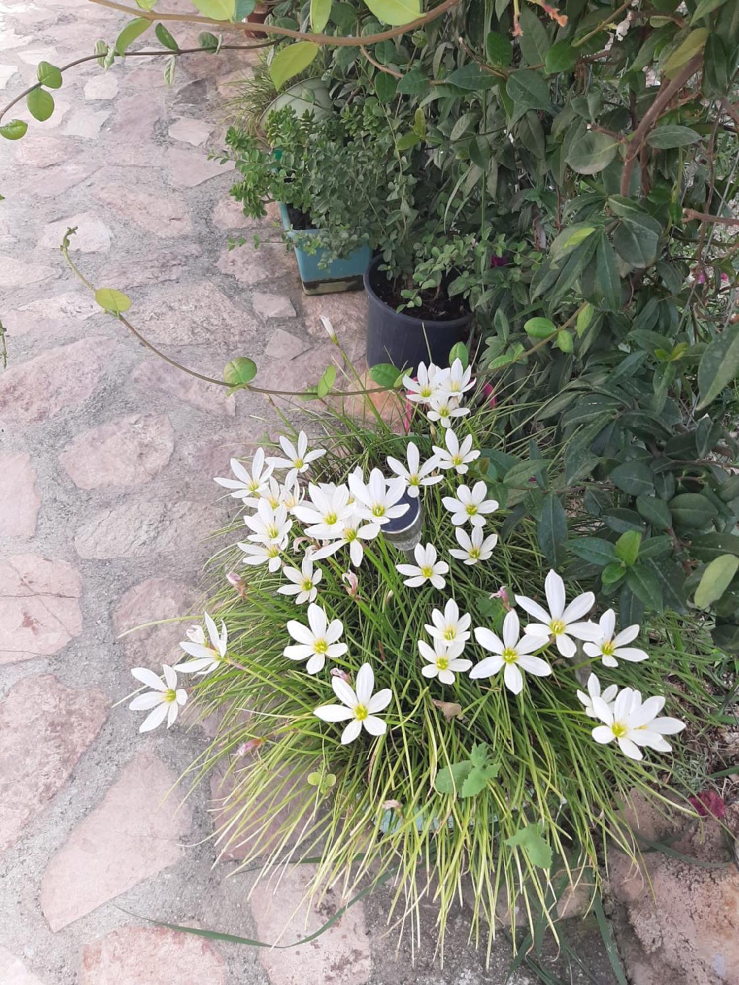 Denni'S Home Саранде Екстериор снимка