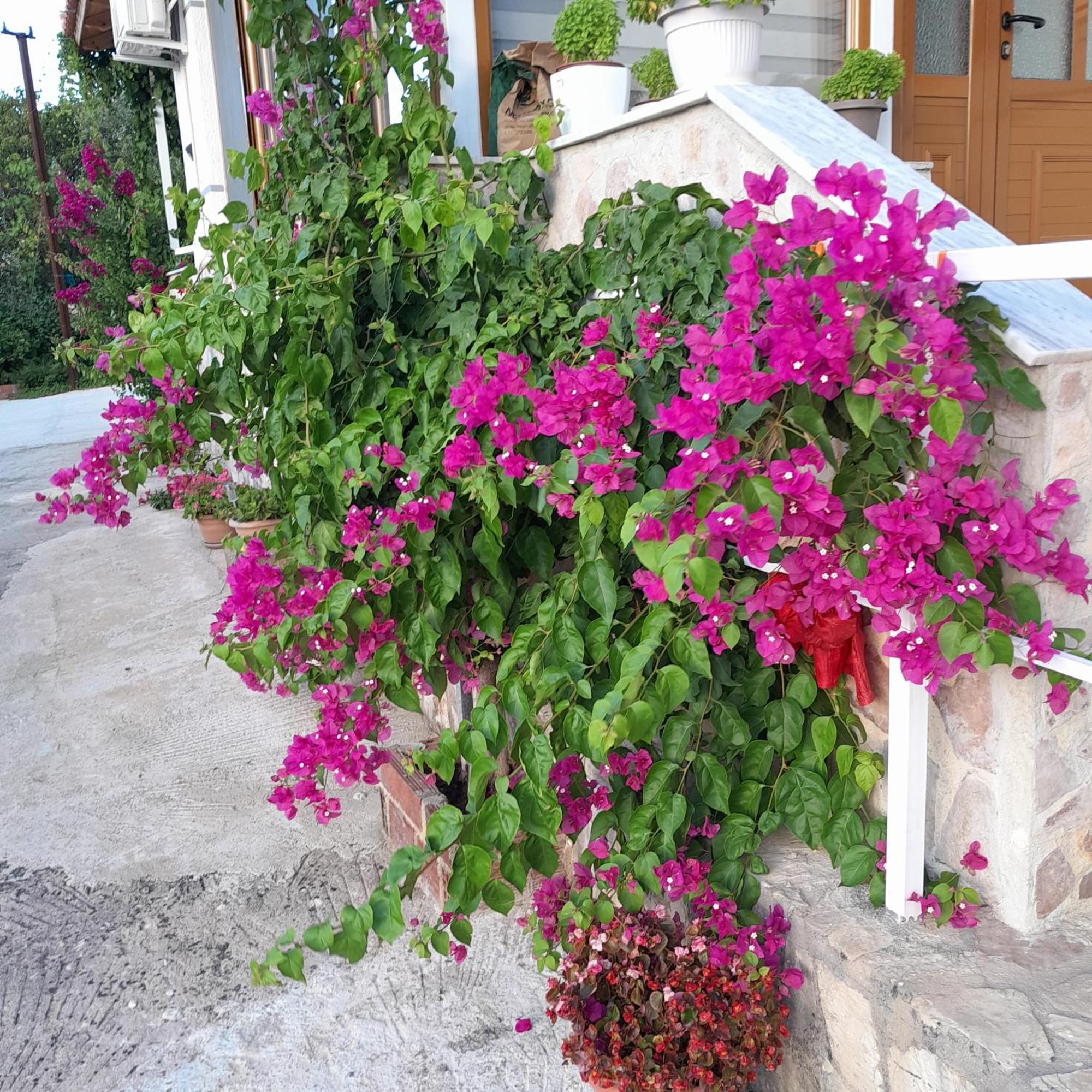 Denni'S Home Саранде Екстериор снимка